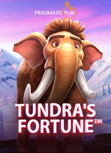 เดิมพันฟรี คาสิโนลา: ประสบการณ์สนุกสุดมัน